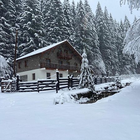 Chiba Chalet Timișu de Jos Extérieur photo