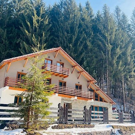 Chiba Chalet Timișu de Jos Extérieur photo