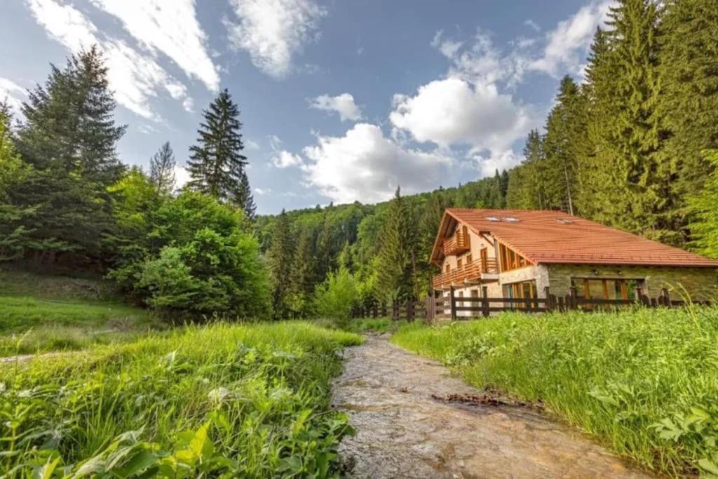 Chiba Chalet Timișu de Jos Extérieur photo