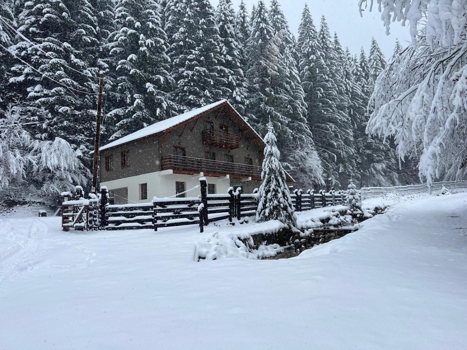 Chiba Chalet Timișu de Jos Extérieur photo