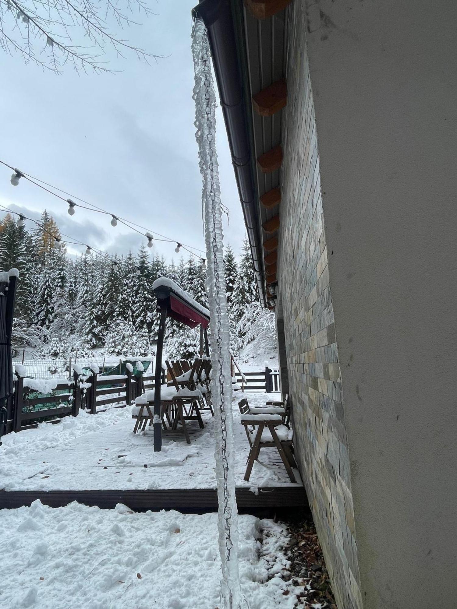 Chiba Chalet Timișu de Jos Extérieur photo