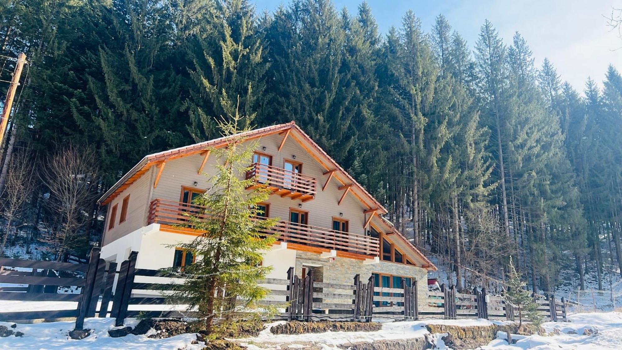 Chiba Chalet Timișu de Jos Extérieur photo