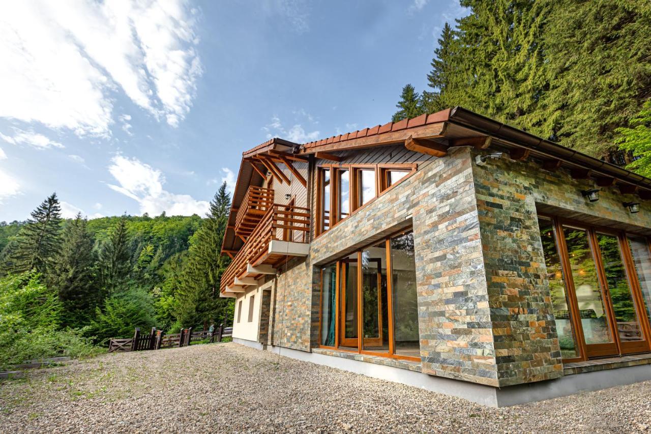 Chiba Chalet Timișu de Jos Extérieur photo