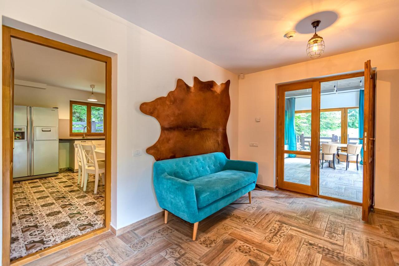 Chiba Chalet Timișu de Jos Extérieur photo